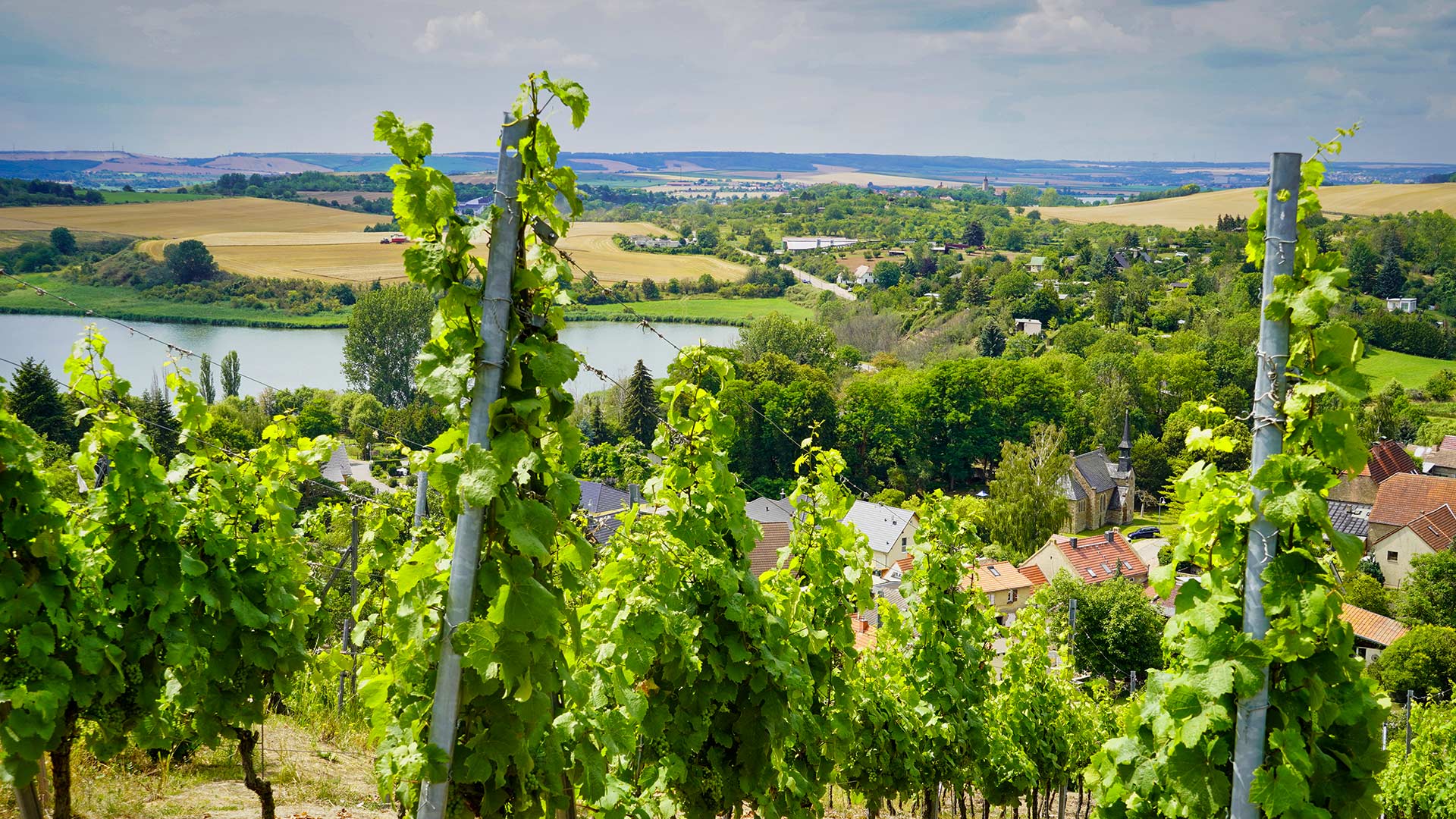 Seegebiet Mansfelder Land - Mansfeld-Südharz Tourismus