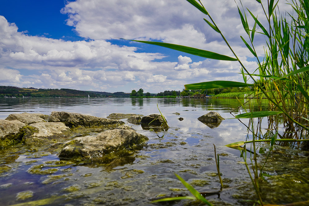 Süßer See - Mansfeld-Südharz Tourismus